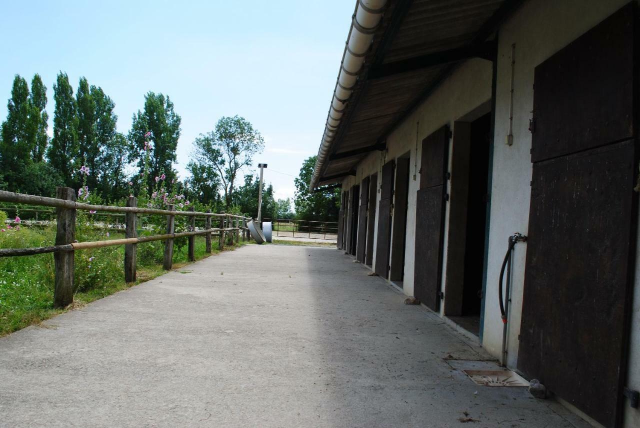 Ecurie De La Grange L'Abbe Apartamento Le Langon Exterior foto