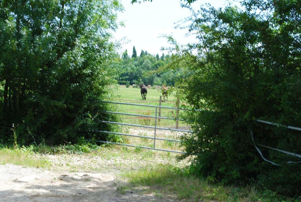 Ecurie De La Grange L'Abbe Apartamento Le Langon Exterior foto